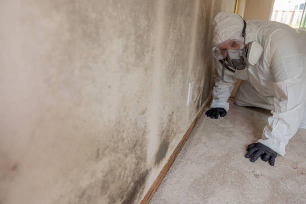 Best Industrial Mold Remediation  in Sandston, VA